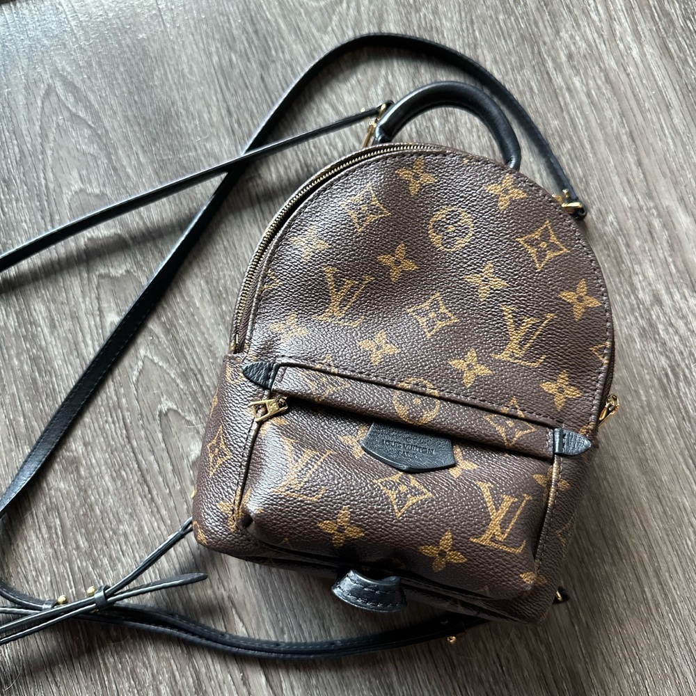 Louis Vuitton Palm Springs mini backpack